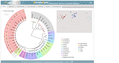Desktop Screenshot of borreliabase.org