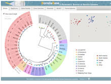Tablet Screenshot of borreliabase.org
